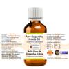 Greenwood Essential Pure Sugandha Kokila Essential Oil (Cinnamomum glaucescens) Steam Distilled 100ml x 3 (10 oz) view 2