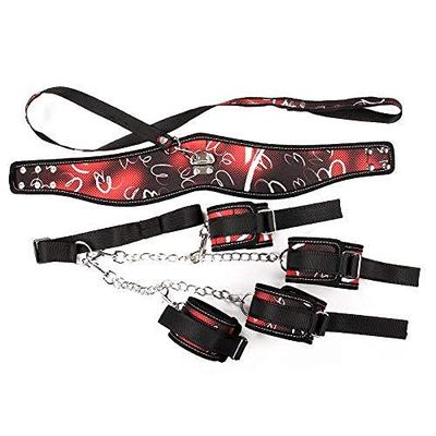 Arm Restraints and Collar The Room Of Doom