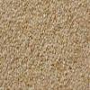 200grams | White Sesame Seeds Organic Sold by Indian Masaale Wala view 1