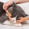 Aomomy Cat Cute Mini Hands Touch Cheek Brushes Finger Toys 1 pairs of fingers view 2