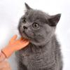 Aomomy Cat Cute Mini Hands Touch Cheek Brushes Finger Toys 1 pairs of fingers view 3