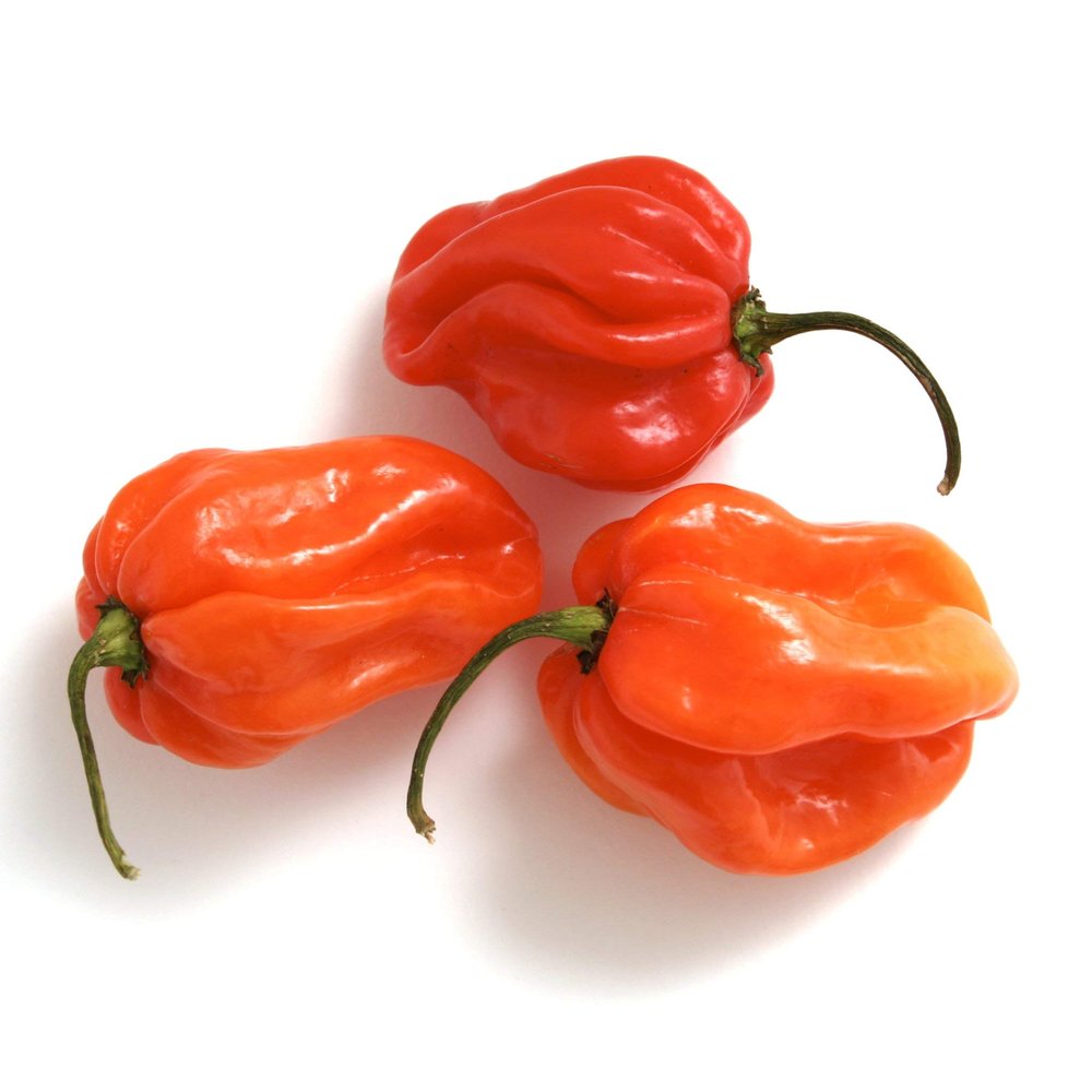 Fresh Scotch Bonnet Peppers 100g - imported weekly from Jamaica