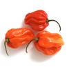 Fresh Scotch Bonnet Peppers 100g - imported weekly from Jamaica view 1
