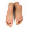 AFYH 1 Pair Realistic Silicone Mannequin Foot, Foot clones for European and American women feet beauty copy, silicone foot model props, high realistic 36A beauty feet.,Left foot view 2