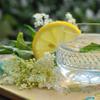 Alpi Nature Elderflower Tea 125g 4.4 oz, Dried and Rubbed Elderflowers, Loose Herbal Tea view 4