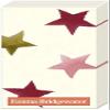 2 Packs of Emma Bridgewater Paper Pocket Handbag Tissues - Stargazer Lily Star Cream view 1