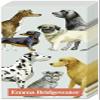 2 Packs of Emma Bridgewater Paper Pocket Handbag Tissues - Dogs Light Blue view 1