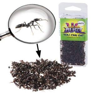 3 Pack(s) Edible Black Ants - A Packet of Nothing but Black Ants. Bon apptit!