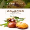 Infinitely Great Home Decor Center 120gX3Bag Chestnut Snacks Baicaowei Chinese Food view 3