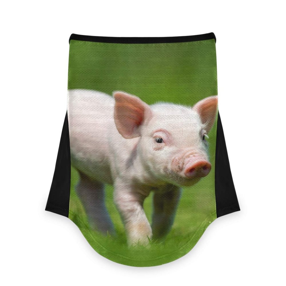 AJINGA Face Coverings Bandana Ear Loops StylishNewborn Piglet Spring Green Grass Women Neck Gaiters for Dust Wind Motorcycle Men