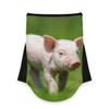 AJINGA Face Coverings Bandana Ear Loops StylishNewborn Piglet Spring Green Grass Women Neck Gaiters for Dust Wind Motorcycle Men view 1