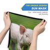 AJINGA Face Coverings Bandana Ear Loops StylishNewborn Piglet Spring Green Grass Women Neck Gaiters for Dust Wind Motorcycle Men view 3
