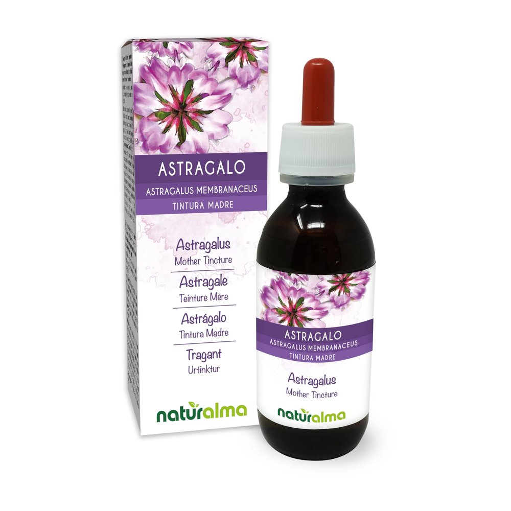 Astragalus (Astragalus membranaceus) Roots Alcohol-Free Mother Tincture Naturalma - Liquid in Drops 120 ml - Food Supplement - Vegan