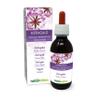 Astragalus (Astragalus membranaceus) Roots Alcohol-Free Mother Tincture Naturalma - Liquid in Drops 120 ml - Food Supplement - Vegan view 1