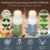 Scentered Aromatherapy Balm Stick Duo for Stress-Relief & Focus - Roll On Essential Oil Blends of Rosemary, Mint, Chamomile - Aromatherapy Gifts for Women - De-Stress & Focus view 4