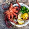 Fresh Octopus Whole 750 gr view 2