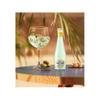 San Pellegrino Italian Sparkling Drinks Citrus Tonic Water Glass 4x200ml view 4