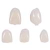 1 Box for Anterior Teeth 1 Box for Molar Dental Temporary Crown Material(140Pcs) view 2