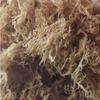 Sea Moss (raw) (Rainbow 1kg) view 2