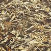 Premium Yunnan Moonlight White Buds Puer Pu'er Puerh Tea Loose Leaf Raw Tea Cake -350g view 3