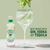 SEPOY & CO. Elderflower Tonic Water - 6 x 200ml | Low Calorie, Less Sugar | Pure Himalayan Water & 100% Natural Ingredients | Elderflower sourced from UK view 2