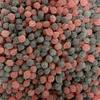 BlackBerry & Raspberry Pips Retro Sweet Shop Jar by The Gourmet Sweet Company view 1