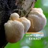 Organic Lions Mane Supplement 28,000mg  50% Polysaccharides (700mg)  180 Vegan Capsules  High Strength Mushroom Supplement  Resealable and Recyclable Pouch  by Alpha01 view 4