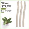 Eco Friendly Biodegradable Eyebrow Razor Trimmer Dermaplaning Blade Shaper Facial Hair Remover Peach Fuzz Women Men 3 pieces view 2