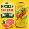 SQUIRT GRAPEFRUIT CAN 355ml view 2