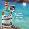 Pocketful Of Stones Cornish Gin Gift Set 4 x 5cl Premium Spirits Featuring Caspyn, Damson, Old Tom & Dandelion & Burdock. Gift for Gin Lovers view 4