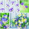 20 Serviettes Collage of Stepm?tterchen Flowers Spring 33 x 33 cm view 1