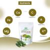 Herbal Magic's Organic Bitter Gourd Powder-Great Green Vegetable-Also Known as Karela, Bitter Melon,Balsam-pear. Free from Fillers & Preservatives- of&G UK Organic Certified 1x200g Pack view 4
