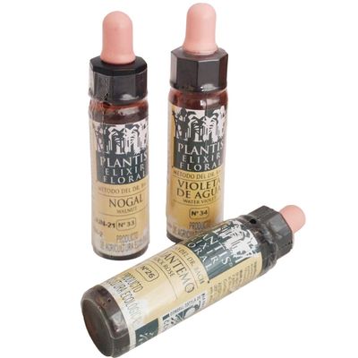 Plantis 31 Verbena 10 ml Craft