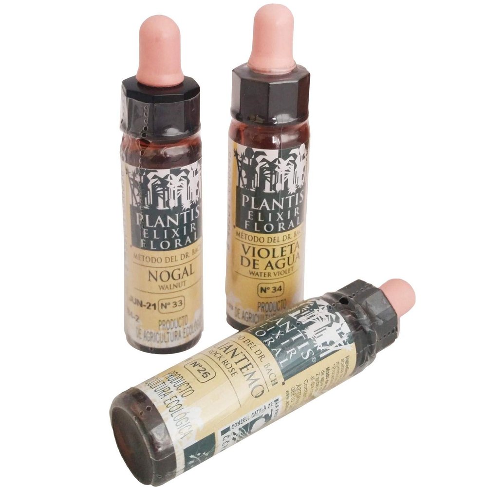 Plantis 31 Verbena 10 ml Craft