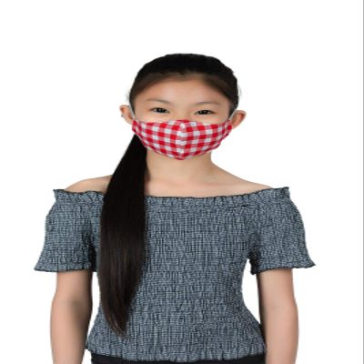LOFBAZ Cotton Cloth Face Coverings Adult Kid Washable Reusable with Filter Pocket (Plaid Red Kids, Big Kids - 9 to 13 Years)