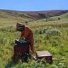 Scottish Blossom Honey from The Scottish Bee Company 227g - Natural, Sweet, Soft Set Honey Made in the UK view 3