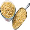 Aksoy Popping Corn Kernels 25KG Non-GMO Popcorn Seeds, Premium Quality, Suitable for Stovetop, Microwave & Air Popper | Freshly Harvested for Delicious Homemade Popcorn Snacks view 2