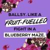 The Protein Ball Co Blueberry Oat Muffin Protein Balls - High Fruit Fibre Snacks - Gluten-Free, No Added Sugar - Healthy Energy Balls, Box of 10 Bags view 2