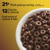 Chocolate Cheerios Heart Healthy Cereal, Gluten Free Cereal With Whole Grain Oats, 19.2 OZ Family Size view 4