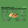 ECO-VITS Green Lipped Mussel (2000mg) 120 caps, Recyclable Packaging. Sealed Pouch. Joint & Mobility Support Supplement, Reduces Stiffness & Discomfort, Anti-Inflammatory, Omega-3 Rich view 4