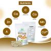 Herbal Magic's Organic Shatavari Root Powder(Asparagus racemosus)-Prized Herb in Ayurveda-"plant of 100 roots" superfood combi with milk& honey - Free from Fillers&Preservatives-300g view 4