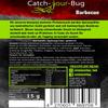 BBQ Spiced Insect Snack, Edible Insects Made in Germany, Insects for Eating by Catch-Your-Bug, 15g Roasted Crickets view 2