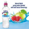 Radnor Splash Still Apple and Raspberry Flavoured Water 12x500ml view 2