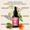 Digestion Drops - Herbal Supplement to Boost Digestion - 100% All-Natural Blend for Liver Cleanse with Ginger, Artichoke, Burdock Root, Spearmint, Hibiscus, & Fennel Seed by Blooming Blends - 30ml view 2