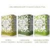 Baeturia Organic - Extra Virgin Olive Oil - Case 3 Cans 175ml - Varieties: Morisca, Carrasquea and Manzanilla Cacerea view 2