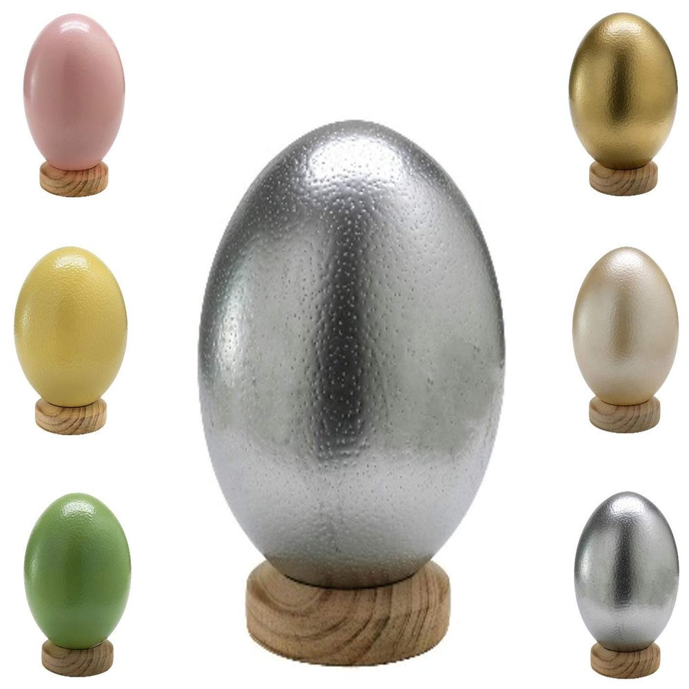 Klocke Dekorationsbedarf South African Coloured Ostrich Egg - High Quality - 1 Piece (without Base) - Emptied & Blowed & Cleaned (Silver)
