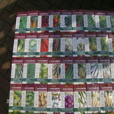 1 Pack of Fennel sweet florence
