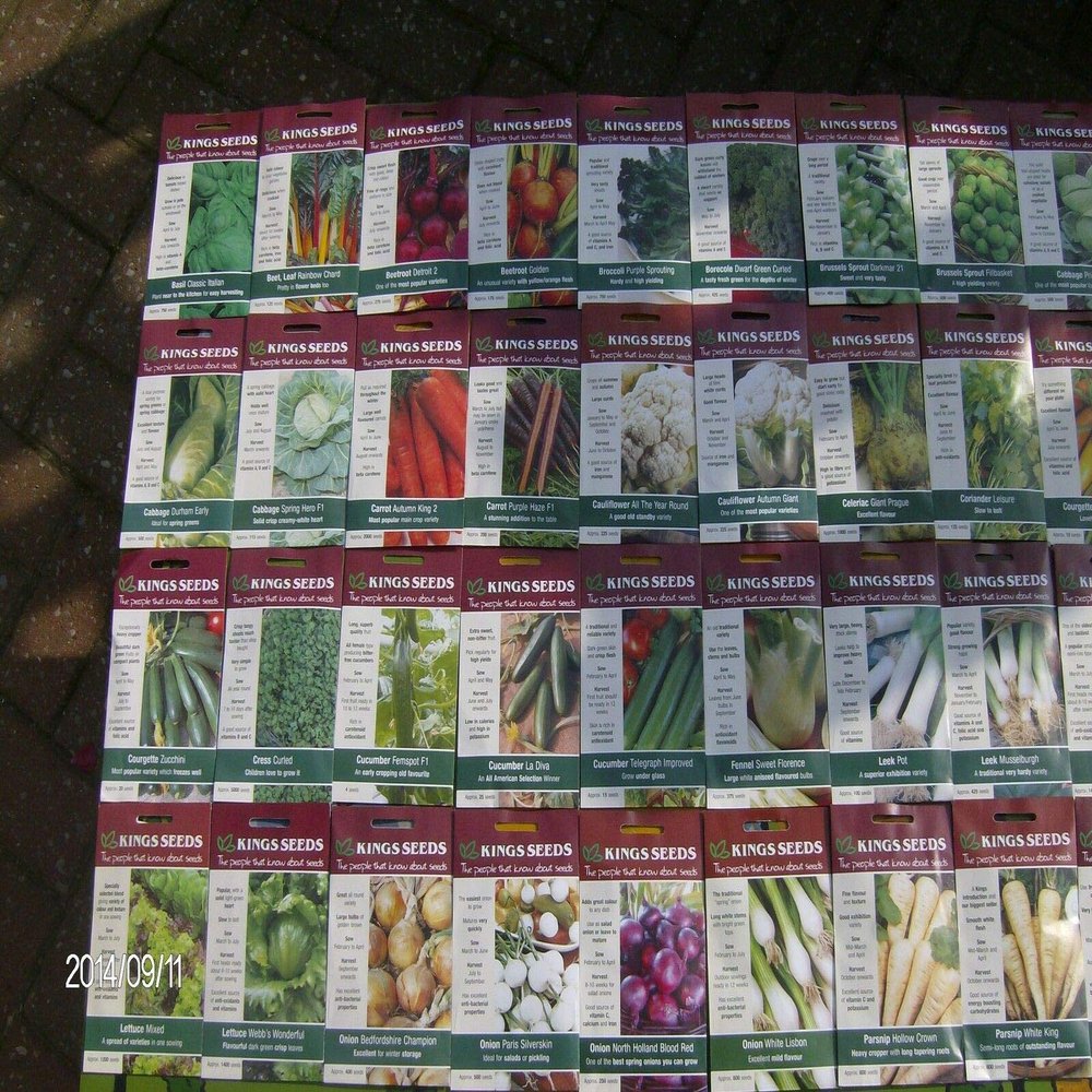 1 Pack of Fennel sweet florence