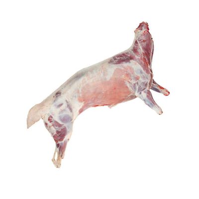 Halal Grass Fed Freshly Frozen Whole Baby Goat ~6-9kg