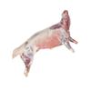 Halal Grass Fed Freshly Frozen Whole Baby Goat ~6-9kg view 1